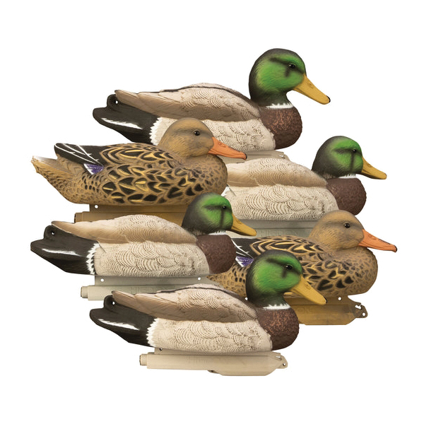 Higdon Outdoors Standard Mallard 6-Pack Duck Decoy - Higdon Outdoors