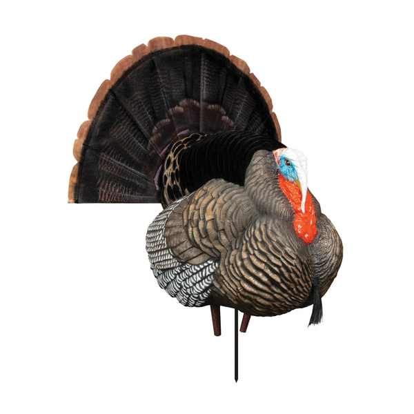 Higdon Outdoors Apex Strutter Hard Body Turkey Decoy - Higdon Outdoors