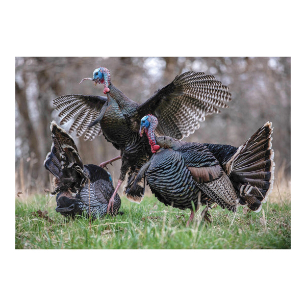 Higdon Outdoors TruStrutter XS Motion Turkey Decoy - 