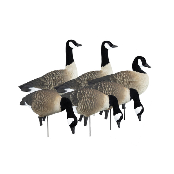 Higdon Outdoors Apex Full Size Body Canada Goose Decoy