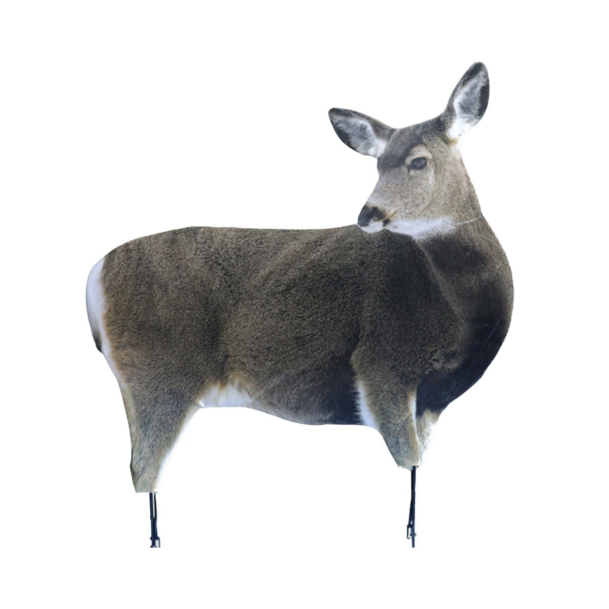 Montana Decoy Miss Muley Deer Decoy