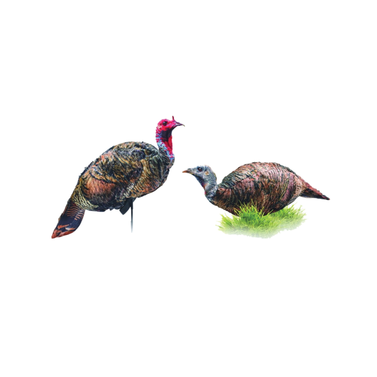Montana Decoy Purrfect Pair XD Turkey Decoy Combo Pack - Montana Decoy