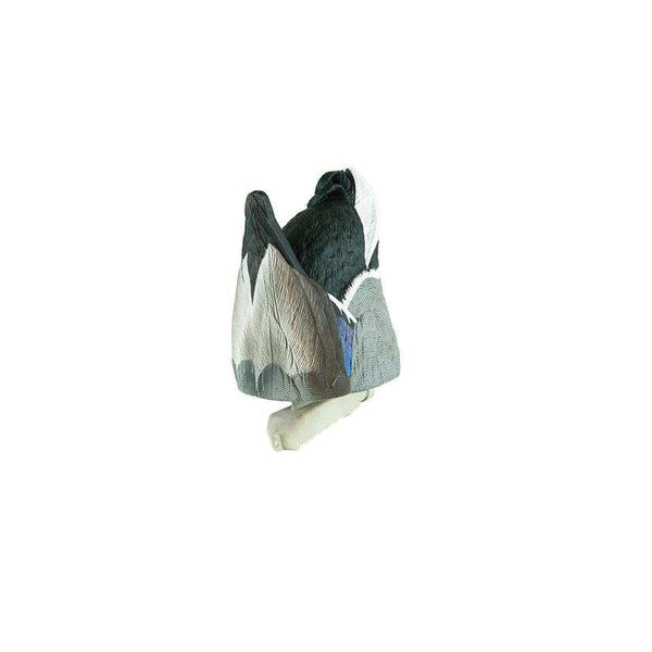 Cupped Feeder Butt Drake Decoy - Cupped