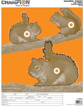 Champion SQUIRREL TARGET  LARGE 12PK 45788 - Champion