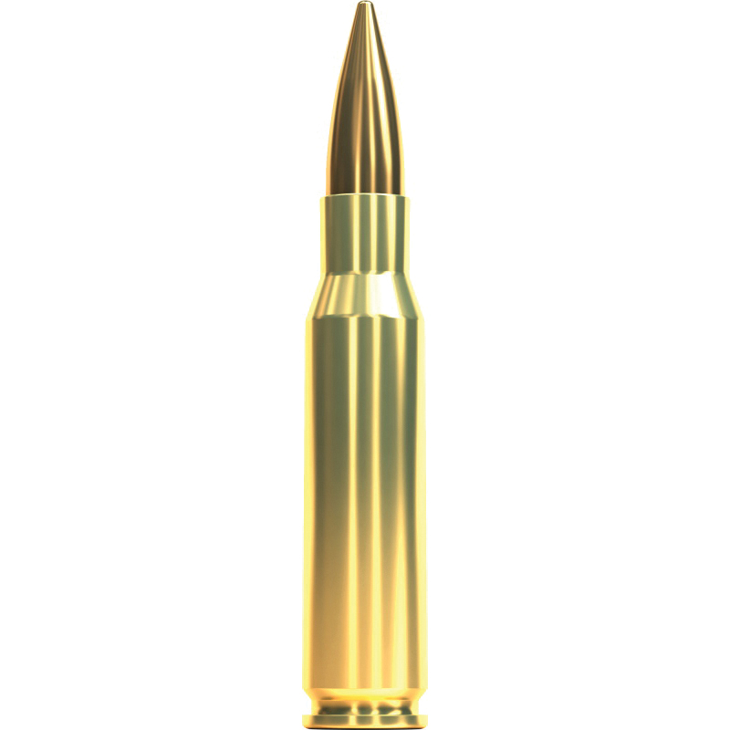 Sellier & Bellot Ammunition .308 Win 180 gr FMJ 20rds